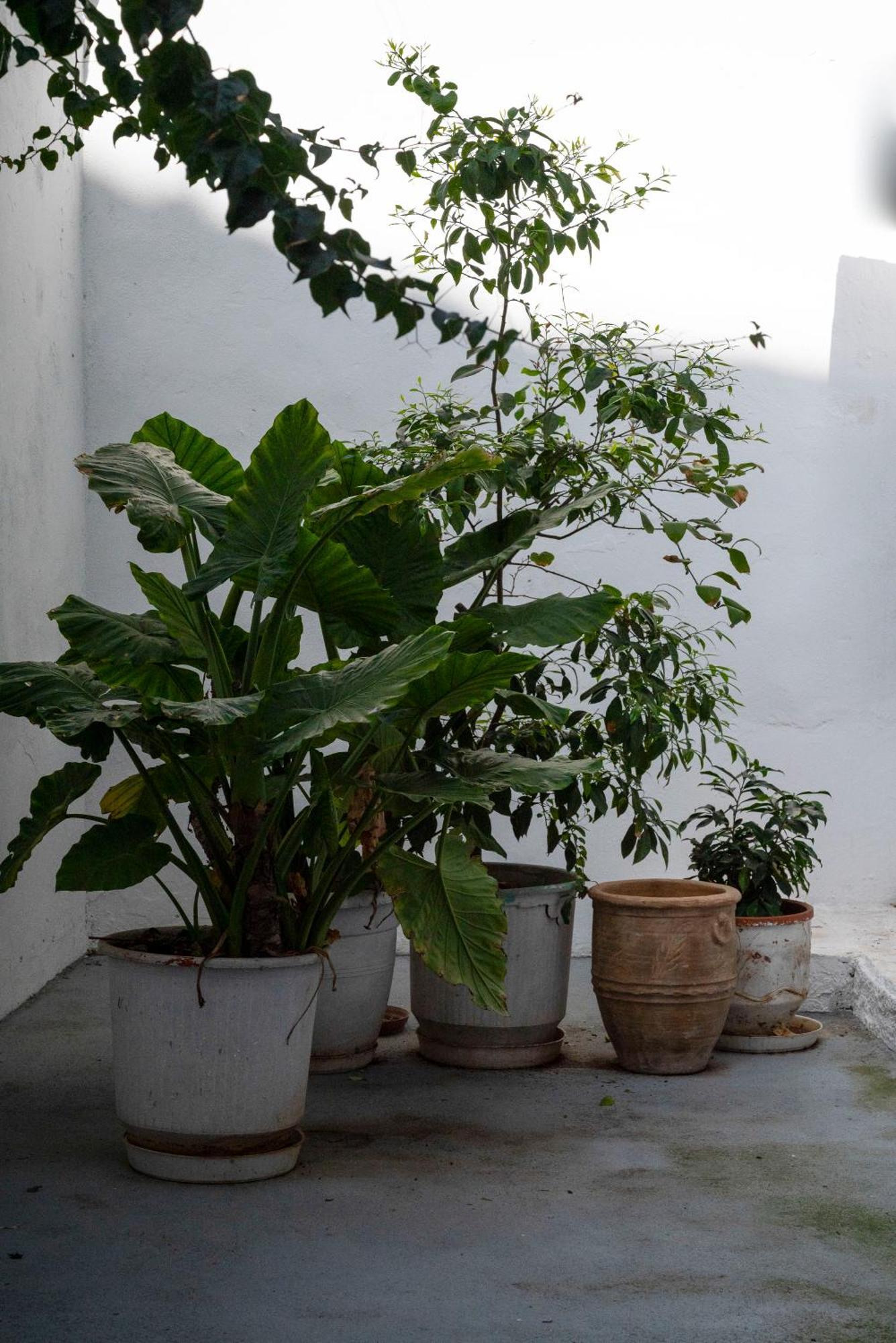 Thissio Getaway 2Ba Next To Athens Ancient Market Экстерьер фото